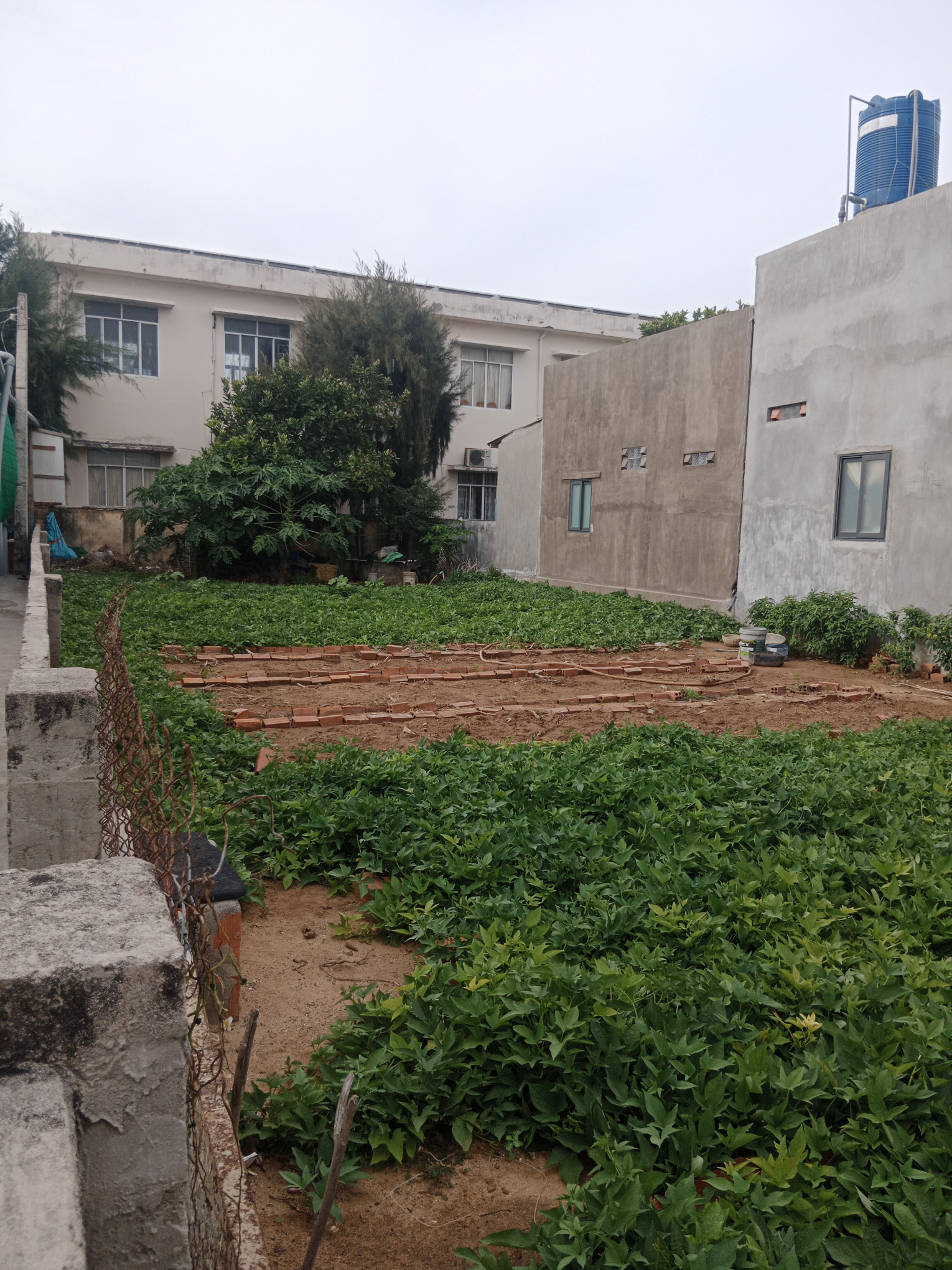 Bán đất thổ cư tại đảo Phú Quý