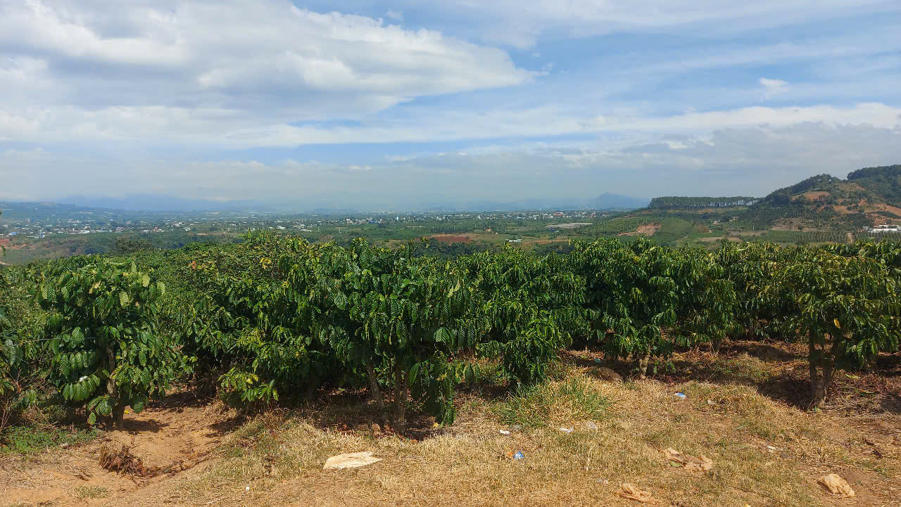 ĐẤT ĐẸP - GIÁ TỐT - Vị Trí Đắc Địa Tại Thôn Tân phú, Xã Ninh Gia, Đức Trọng, Lâm Đồng