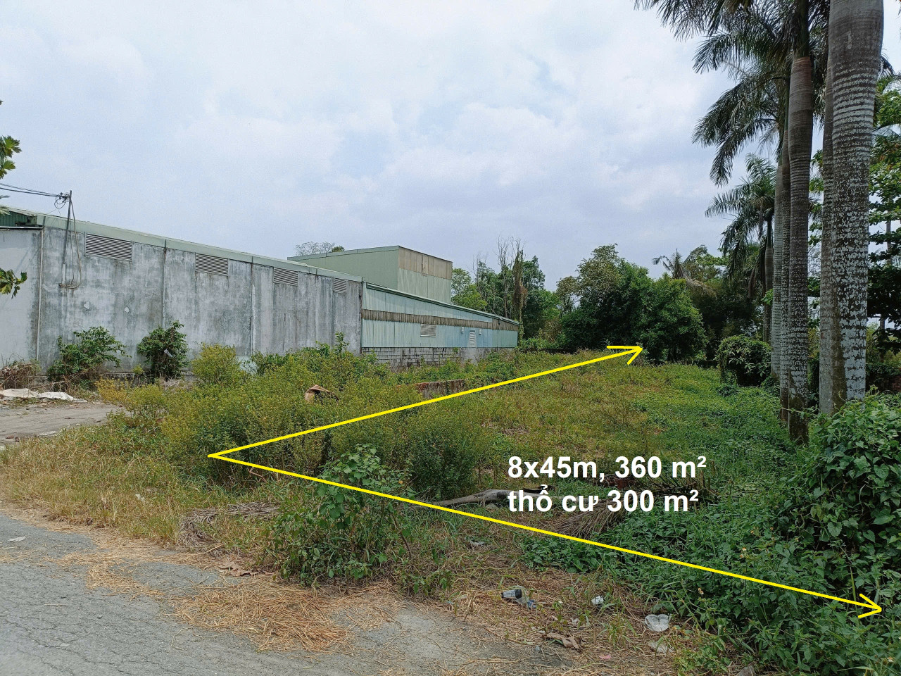 Bán đất mặt tiền đường 301, xã Tân Thạnh Đông Củ Chi, 8x45m, 360m2, gần KCN tiện KD phòng trọ, 4.97 tỷ