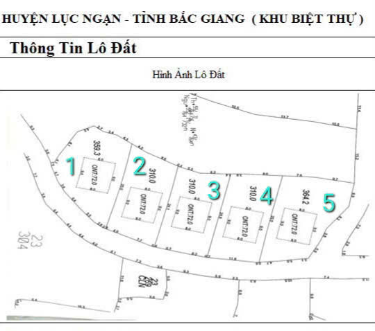 Cấn Bấn 5 lô  biệt thự F0 tại Kiên Thành- Lục Ngạn -Bắc Giang.