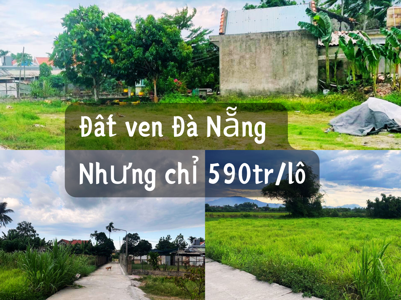 💰 CẦN BÁN NHANH ĐẤT VEN ĐÀ NẴNG – GIÁ SIÊU TỐT CHỈ 590 TRIỆU/LÔ! 🔥