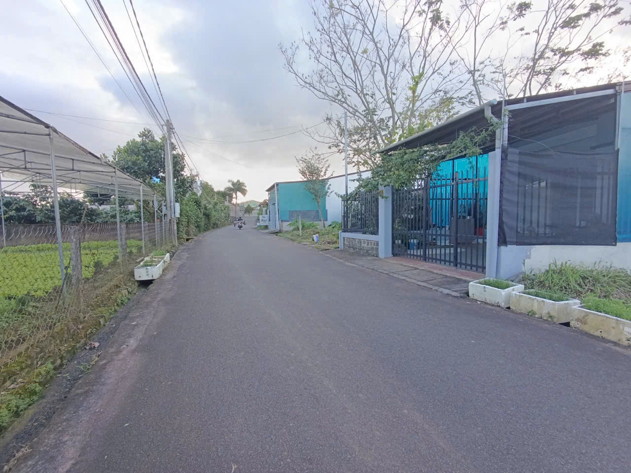 Bán gấp đất Tân Uyên 80m2 sổ hồng riêng mặt tiền đường full thổ cư