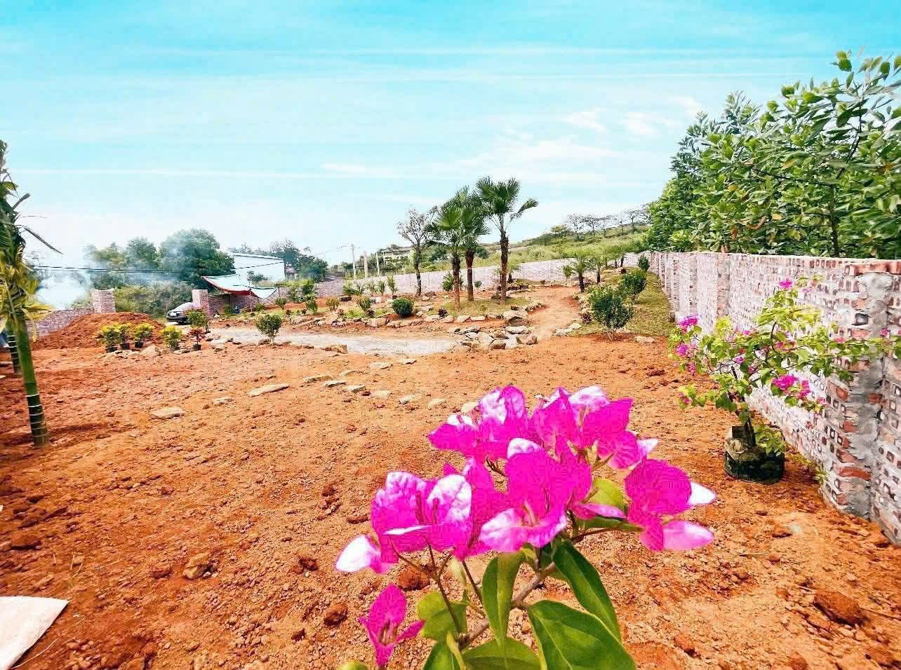 sở hữu ngay gần 1.000m² đất tại đô thị vệ tinh Hòa Lạc