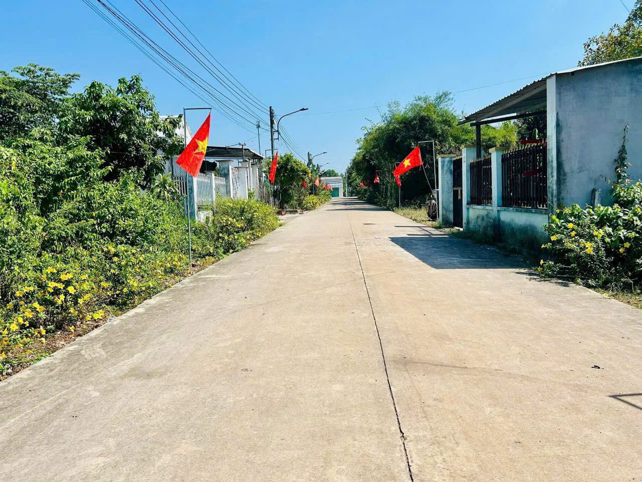 Chú Ba kẹt tiền bán gấp lô đất sát trường học An linh Phú giáo Bình dương 380tr sổ sẳn