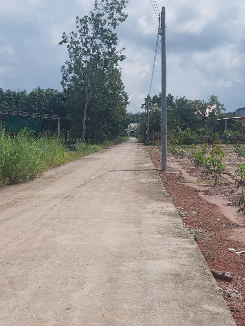 Đất Phú giáo bình dương giá 4xx. 5x60(100m thổ cư)