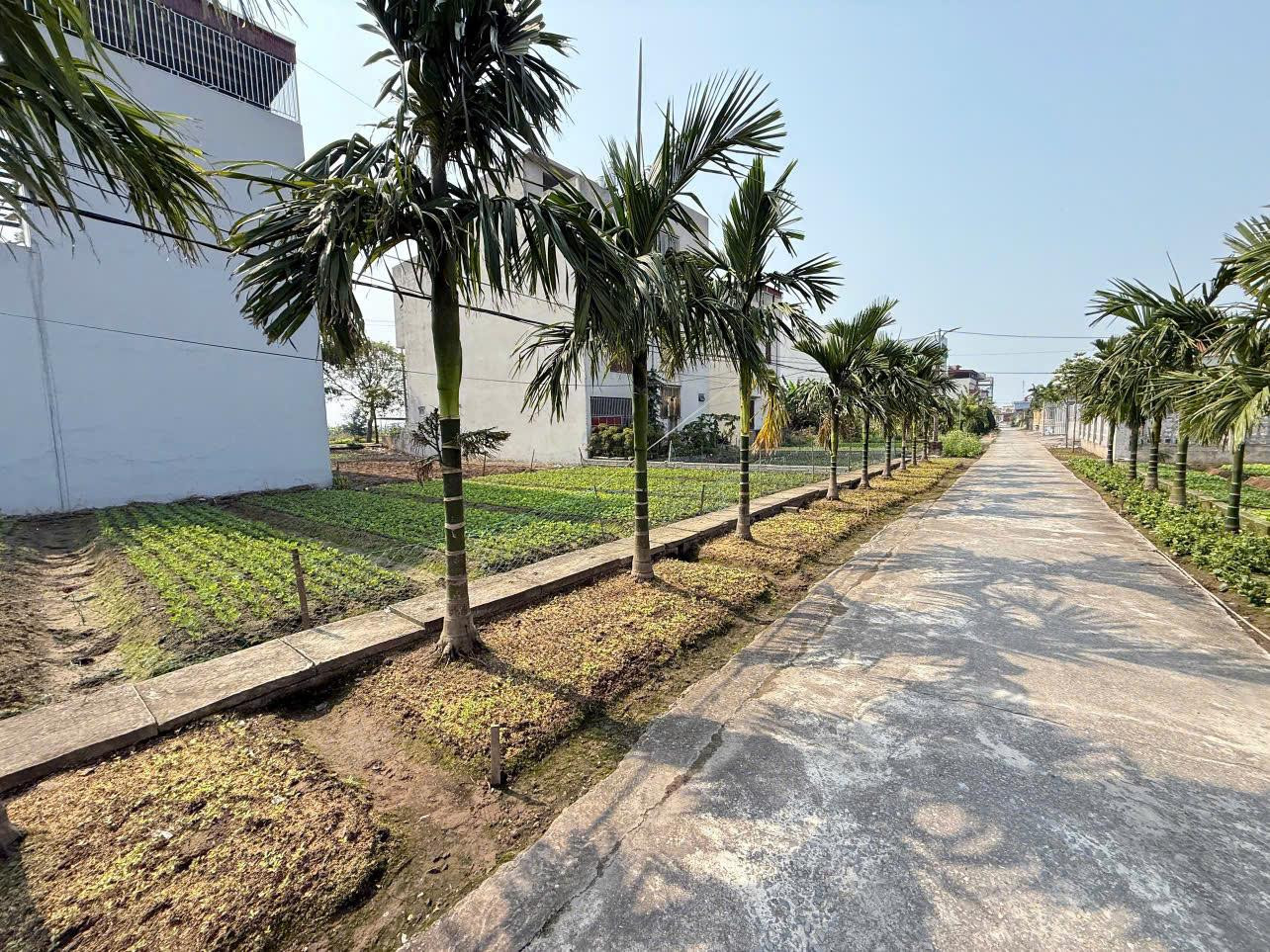 Do cần tiền cho con đi du học nên e bán nhanh lô đất 95m2 tại thị trấn Quất Lâm, vị trí đắc địa, Giá tốt mong muốn giao dịch nhanh