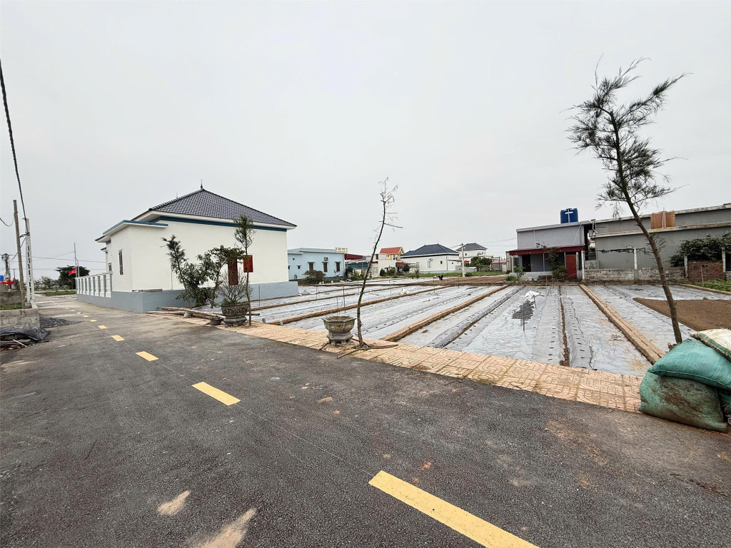 Hàng hiếm ven biển Quất Lâm, Nam Định, 1,2 tỷ, 92m2 gần biển, gần Flamigo, đường thông các ngả.