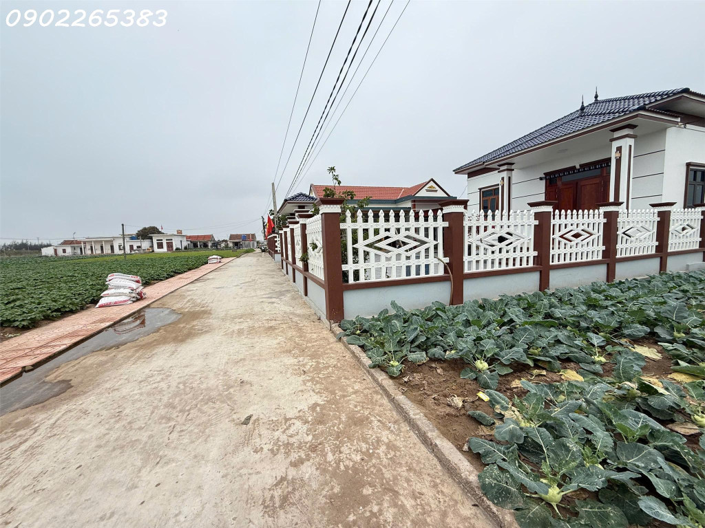 Chính chủ cần bán gấp đất nền 101m2  xã Giao phong giá rẻ siêu hời 800 triệuVNĐ