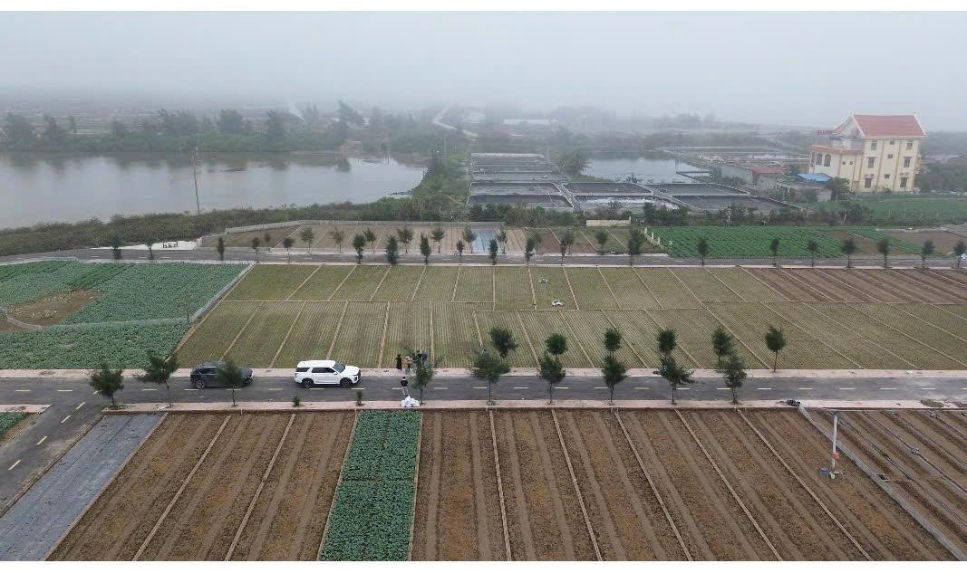 Siêu phẩm cạnh bãi tắm Quất Lâm 100m2 giá rẻ nhất thị trường