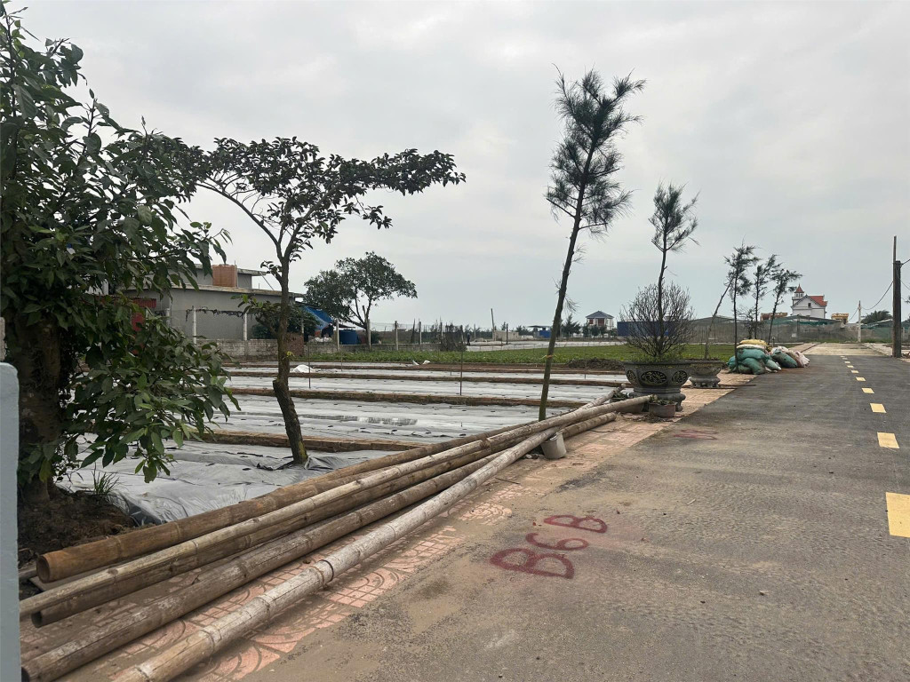 Đất Vàng biển Quất Lâm -  Cơ hội đầu tư siêu lợi nhuận