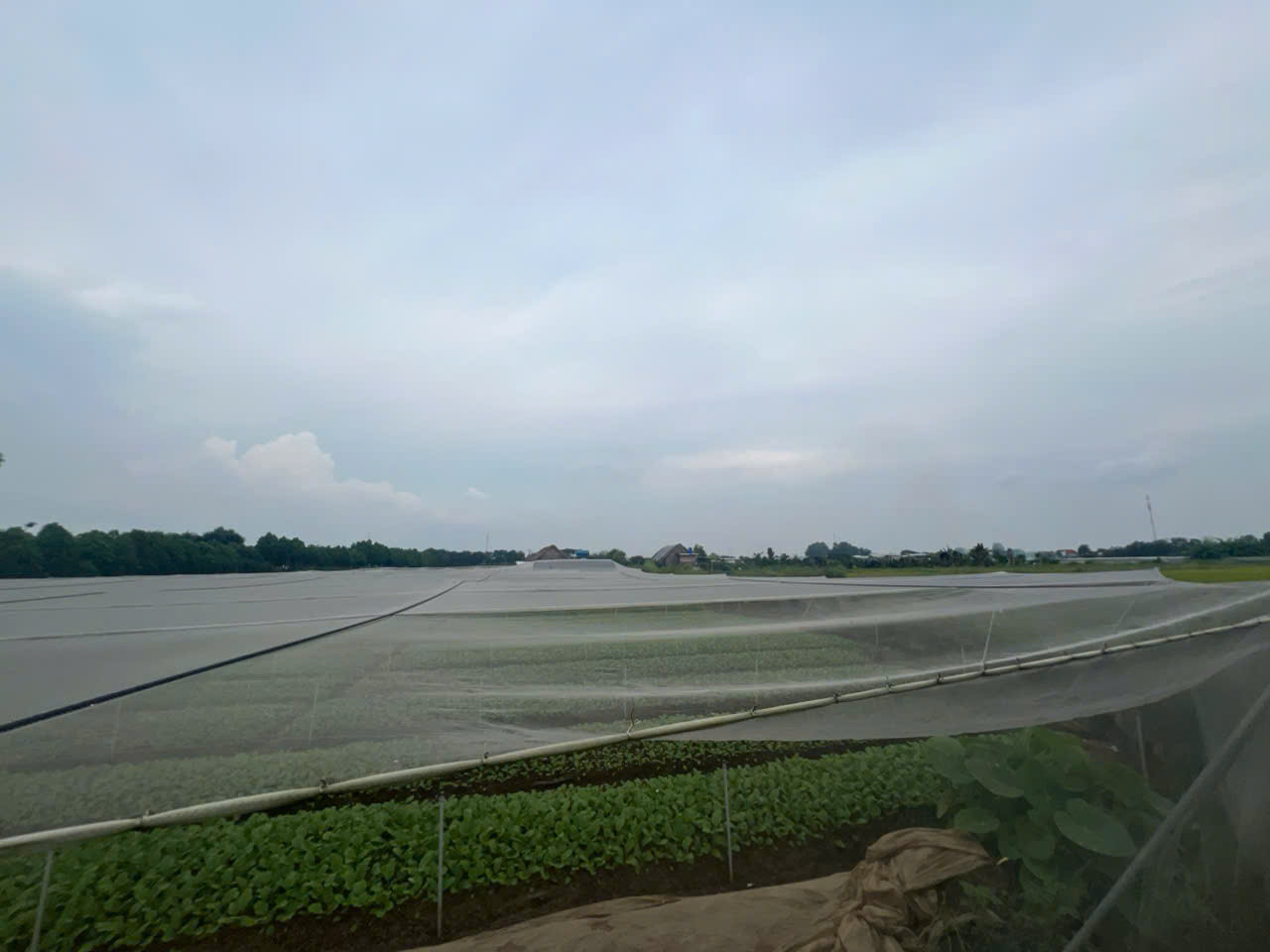 Chính chủ bán 8200m2 giá 2,5 triệu/m2 Xuân Thới Thượng 2, xã Xuân Thới Thượng, Hóc Môn