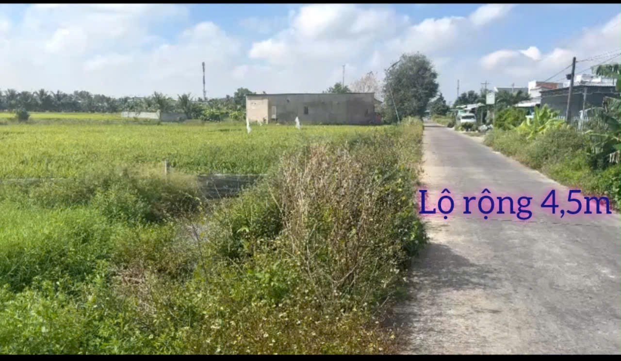 ĐẤT NỀN QL61