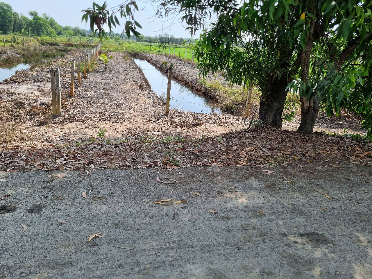 (S551) Đất đường nhựa 698, xã Thái Mỹ, dt 500m2, giá 1 tỷ 850