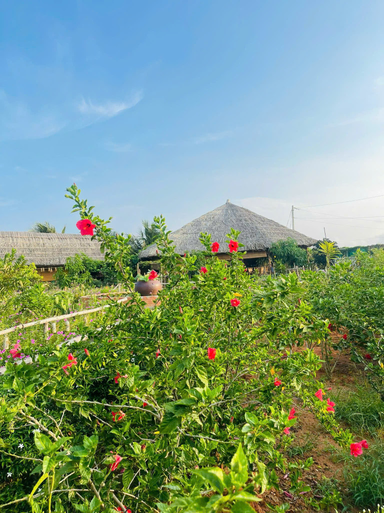 Bán lô đất ba mặt tiền đường - đã có sẵn quán cafe và homestay. LH: 0974090487