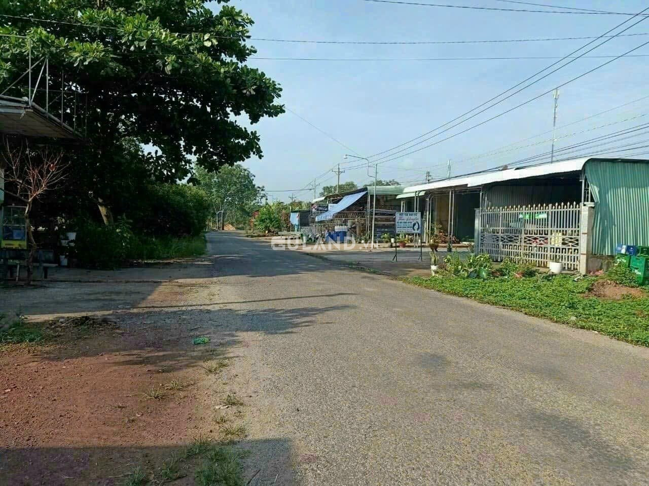 Đất mặt tiền đường nhựa liên huyện Khu công nghiệp Long Tân Phú Riềng 339 triệu