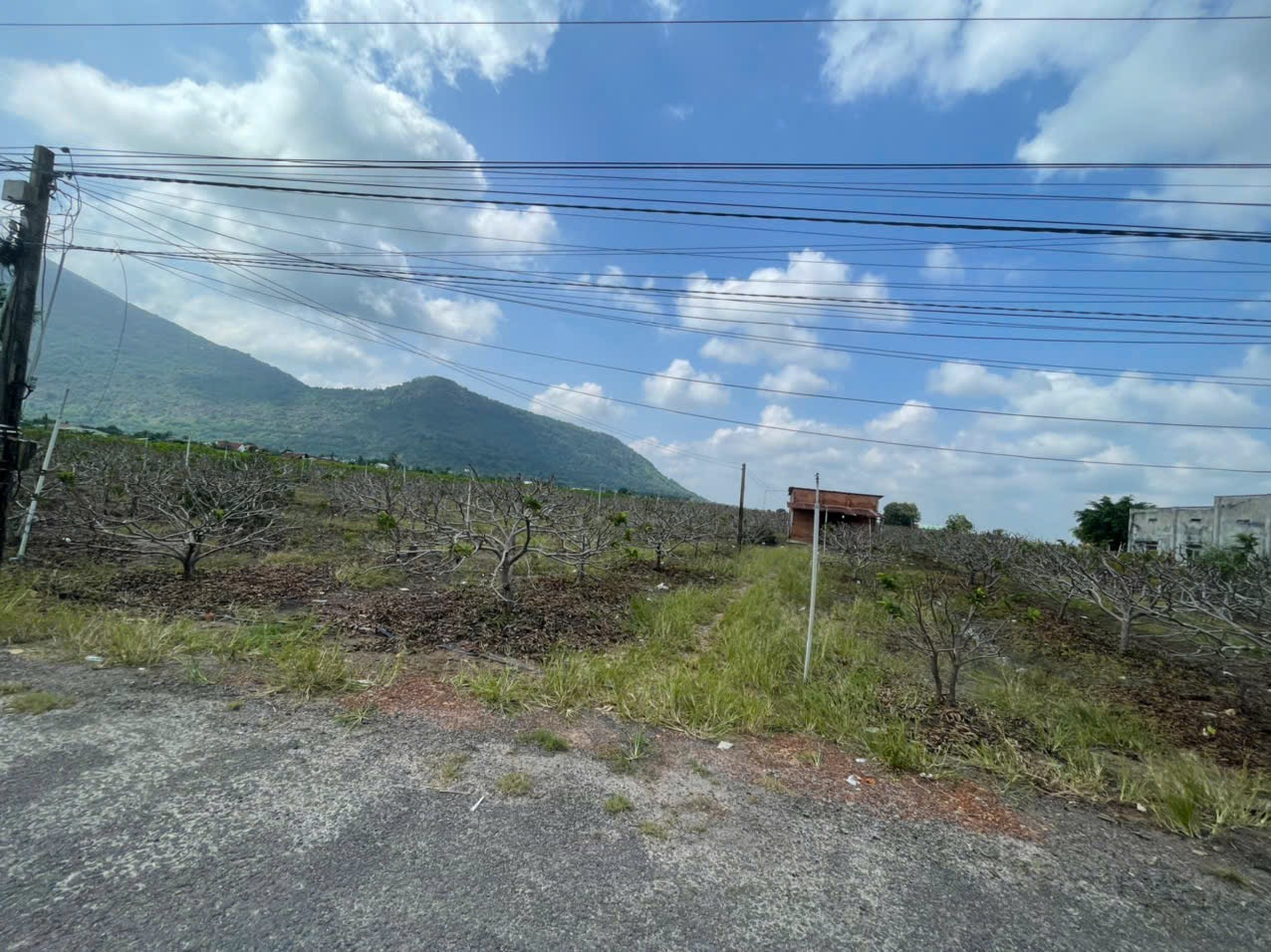 Đất rẻ, đẹp