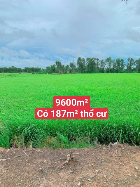 Cần bán gấp 9600m2 có 187m2 thổ cư. giá 7ty6