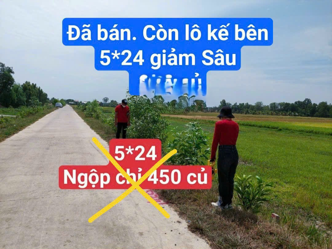 Hết đất 120 mét vuông giá 250 triệu. Đang ngộp