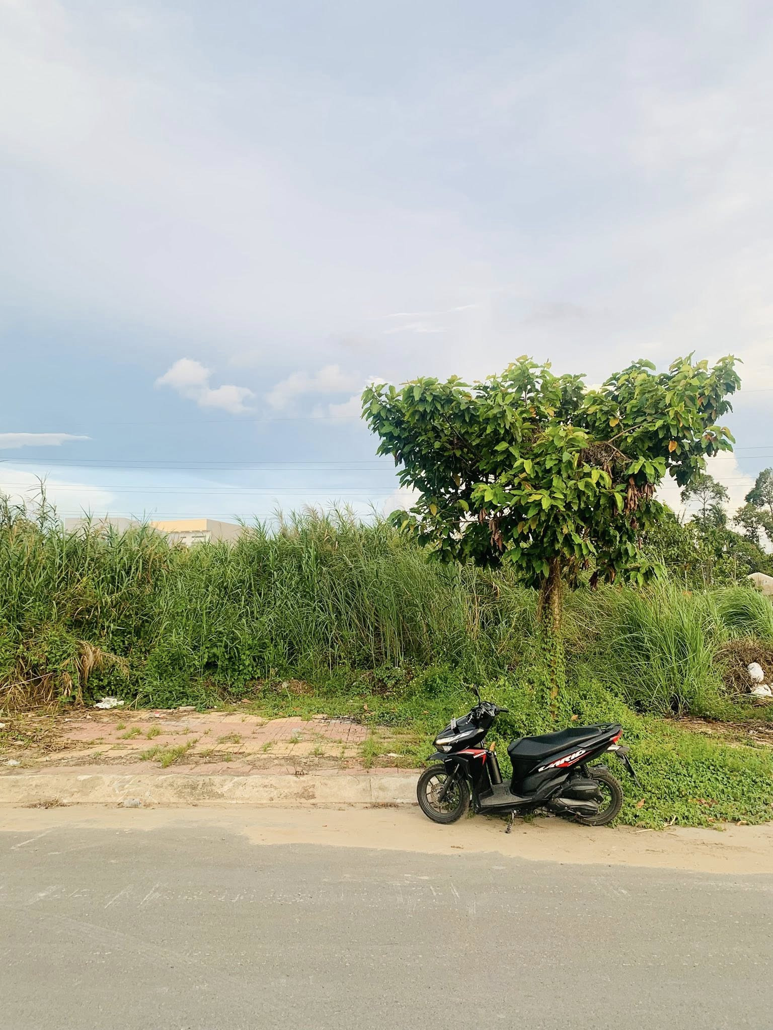 NC BÁN GẤP NỀN ĐƯỜNG A3 KHU PHÚ AN GIÁ TỐT