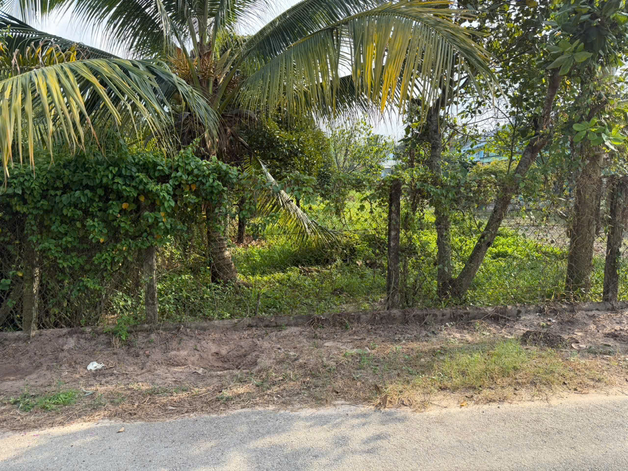 349m2 Đất An Điền , Bến Cát - Ngay Dt748 Mở Rộng - Chỉ 2 tỷ 500
