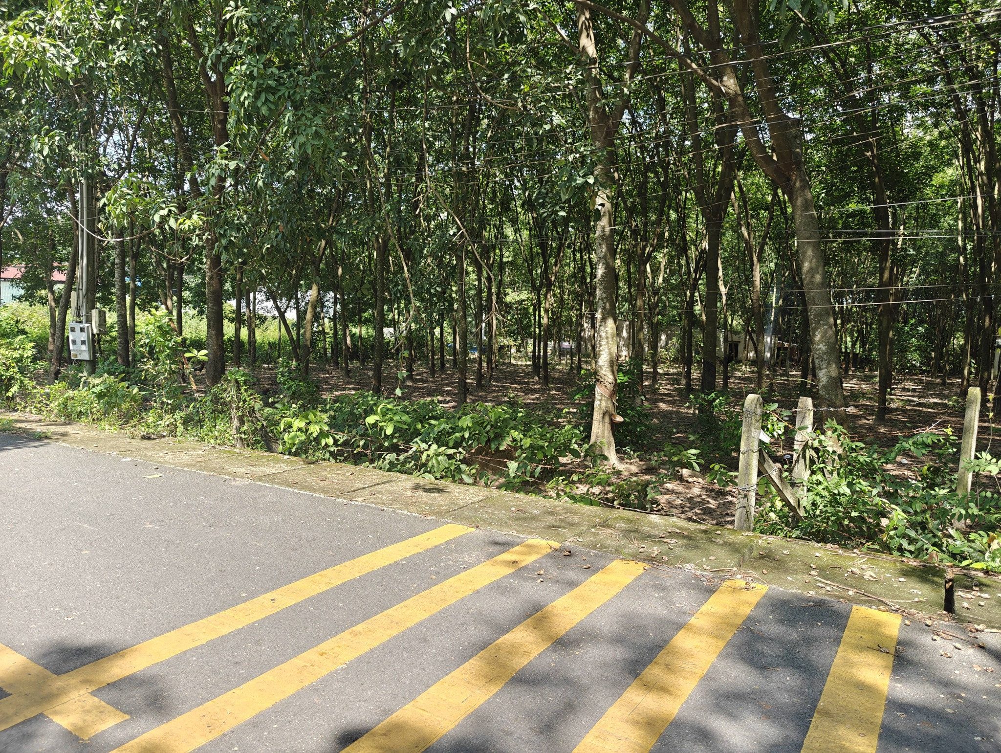 201m2 Đất An Điền , Bến Cát - Ngay Ngã 4 An Điền - Giá chỉ 1 tỷ 280