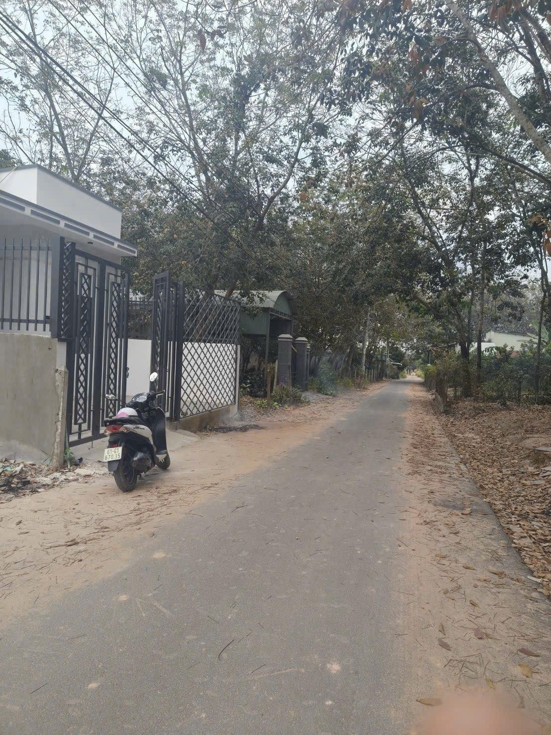 Đất đường nhựa An Điền,Bến Cát