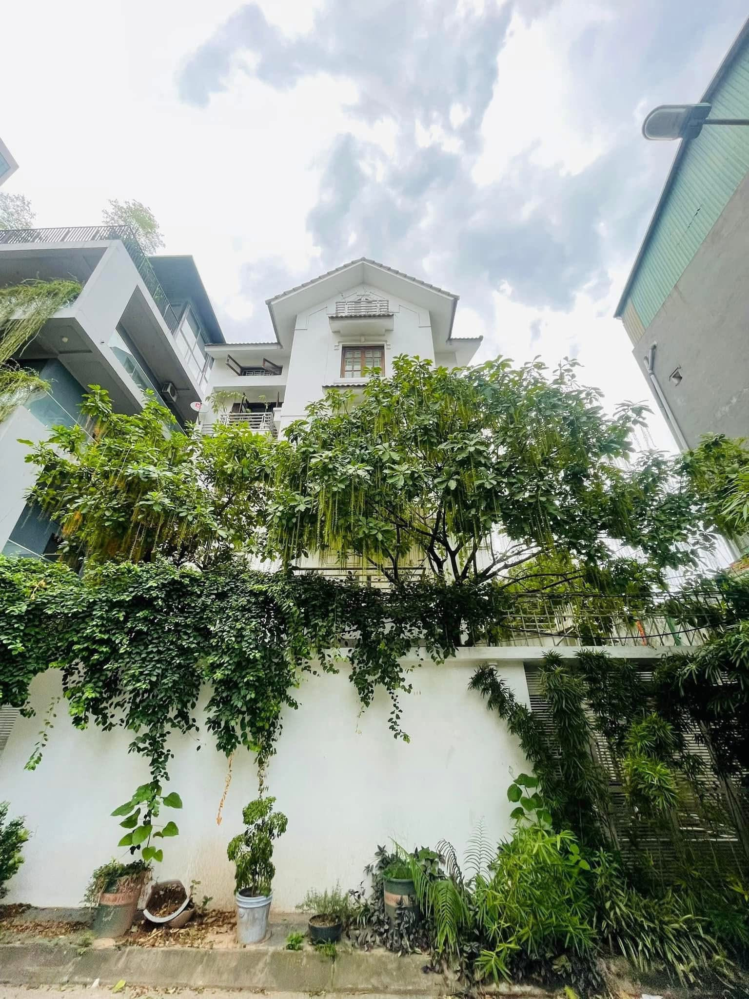 🏡 Bán Biệt Thự Nhà Vườn Packexim 2 – Ngõ 15 An Dương Vương, Tây Hồ | 193m², MT 12m, 5 Tầng, Gara Ô Tô, Gần Cầu Nhật Tân | Giá 54 Tỷ