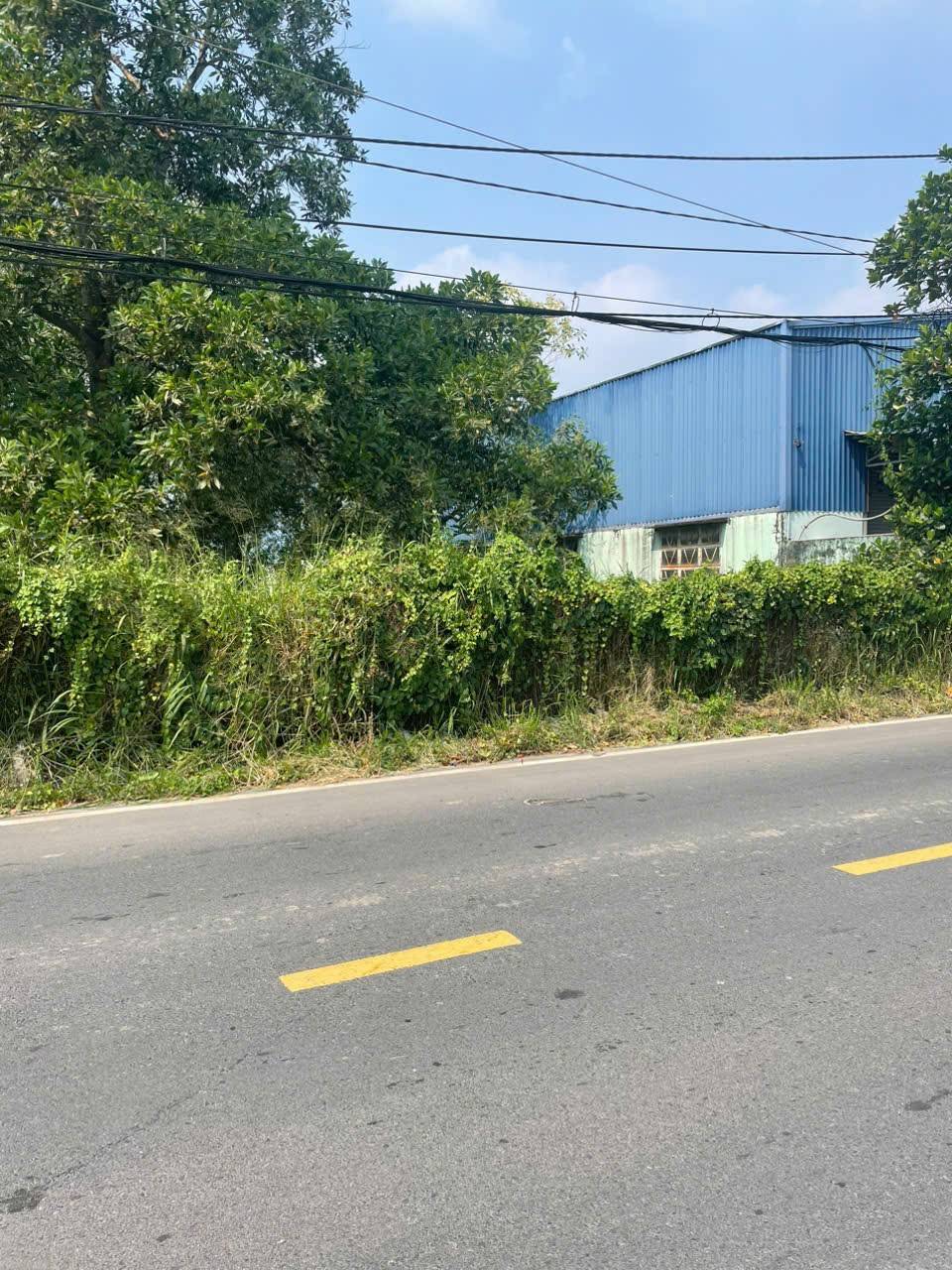 Bán 1100m2 (20x55) có 300m2 thổ cư, mặt tiền An Hạ, Phạm Văn Hai, Bình Chánh, giá đầu tư