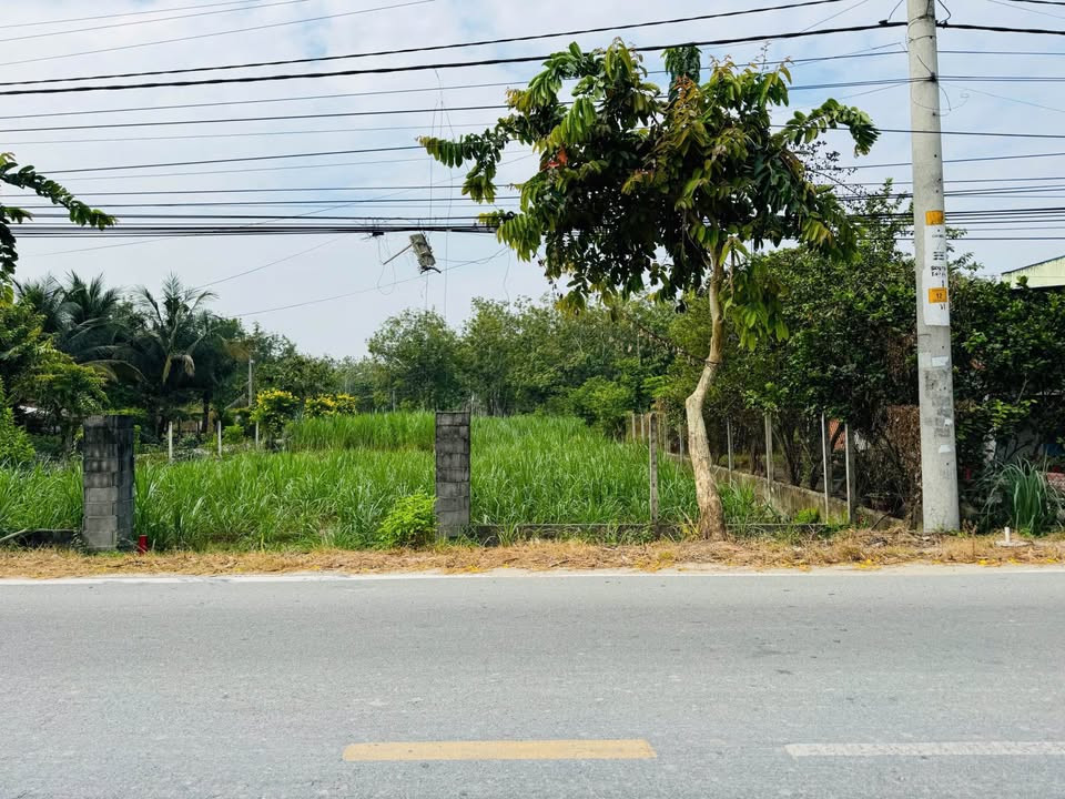 EM NẮM CHỦ LÔ ĐẤT VƯỜN NGAY XÃ AN NHƠN TÂY - H.CỦ CHI