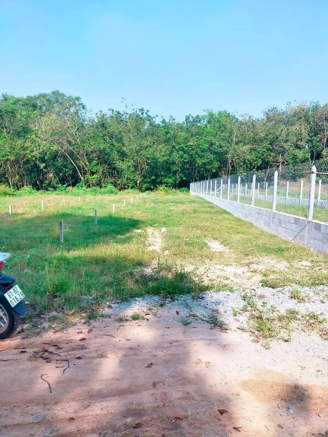 🔥 ĐẤT ĐẸP GIÁ MỀM – 200m² (80m2 thổ cư ) CHỈ 480 TRIỆU TẠI AN TỊNH, TRẢNG BÀNG 🔥