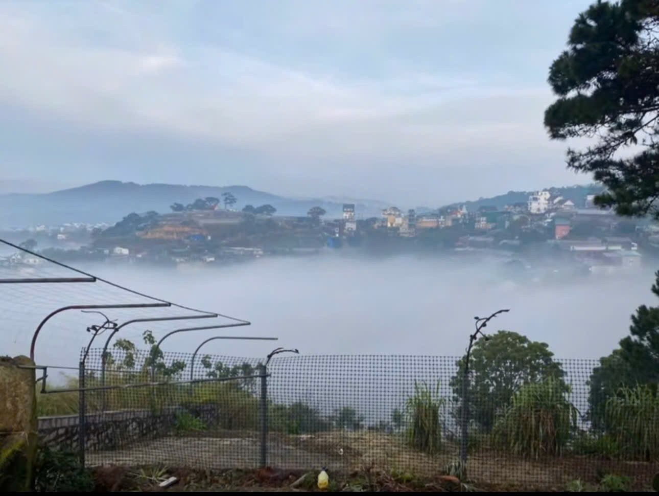 Bán nhà đất đang kinh doanh homestay 1800m , khu An Sơn , P4 , Đà Lạt có view cực đỉnh