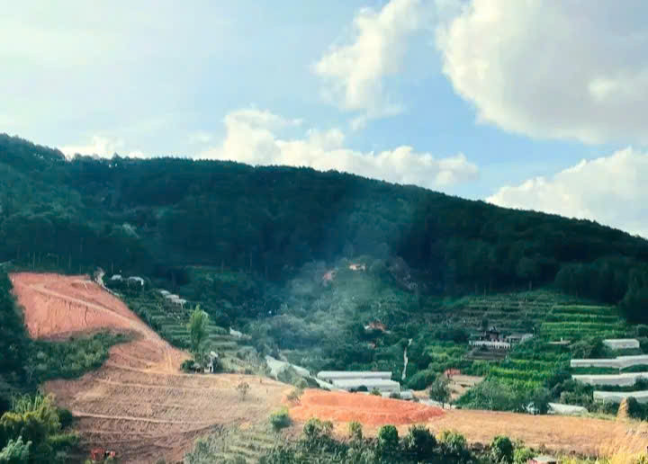 Bán đất view rừng thông và sát rừng thông gần khu dân cư An Sơn trung tâm Đà Lạt