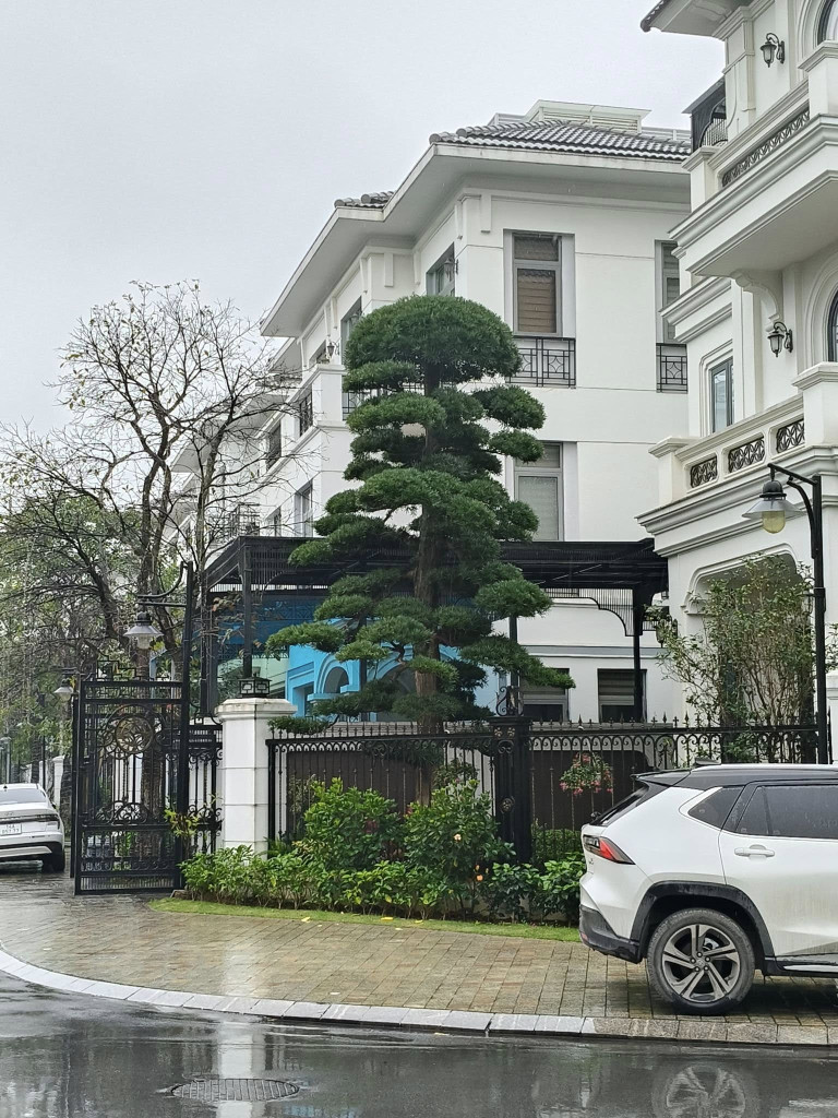 BT HƯỚNG DƯƠNG - VINHOMES HARMONY - LONG BIÊN - XÂY THÔ HOÀN THIỆN MẶT NGOÀI.