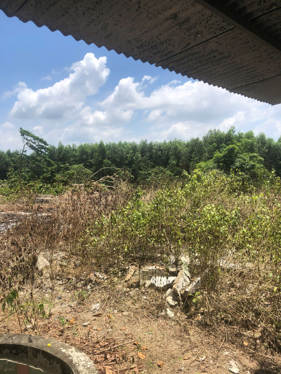 Cần Bán 9898m2 Đất Chính Chủ Tại Ấp 3, xã Phước Bình, Huyện Long Thành, Đồng Nai, Giá Chỉ 20 tỷ.