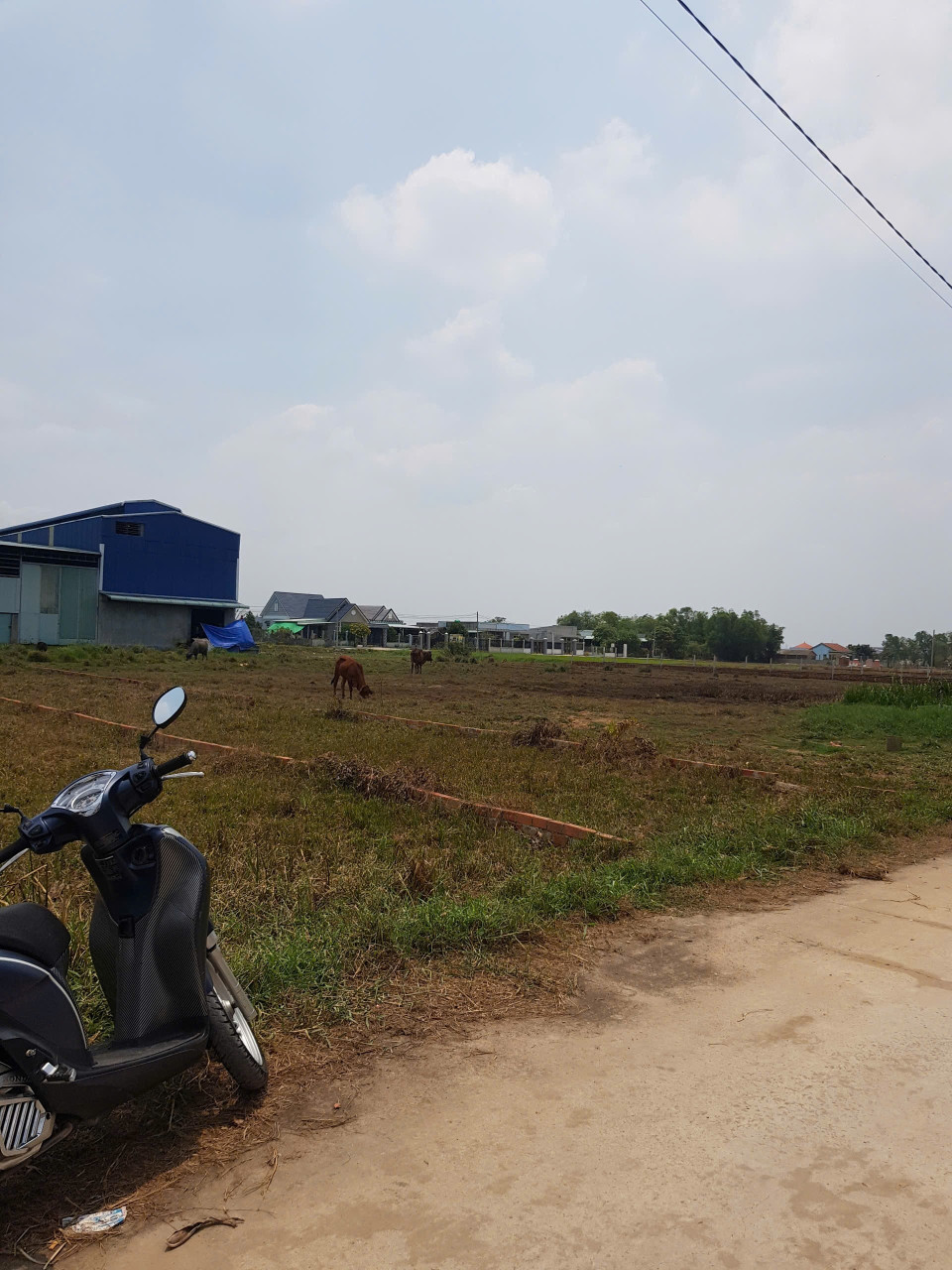 Đất Đức Hòa Long An Giá 4 tỷ còn thương lượng DT : 5X54m Tổng diện tích 302m