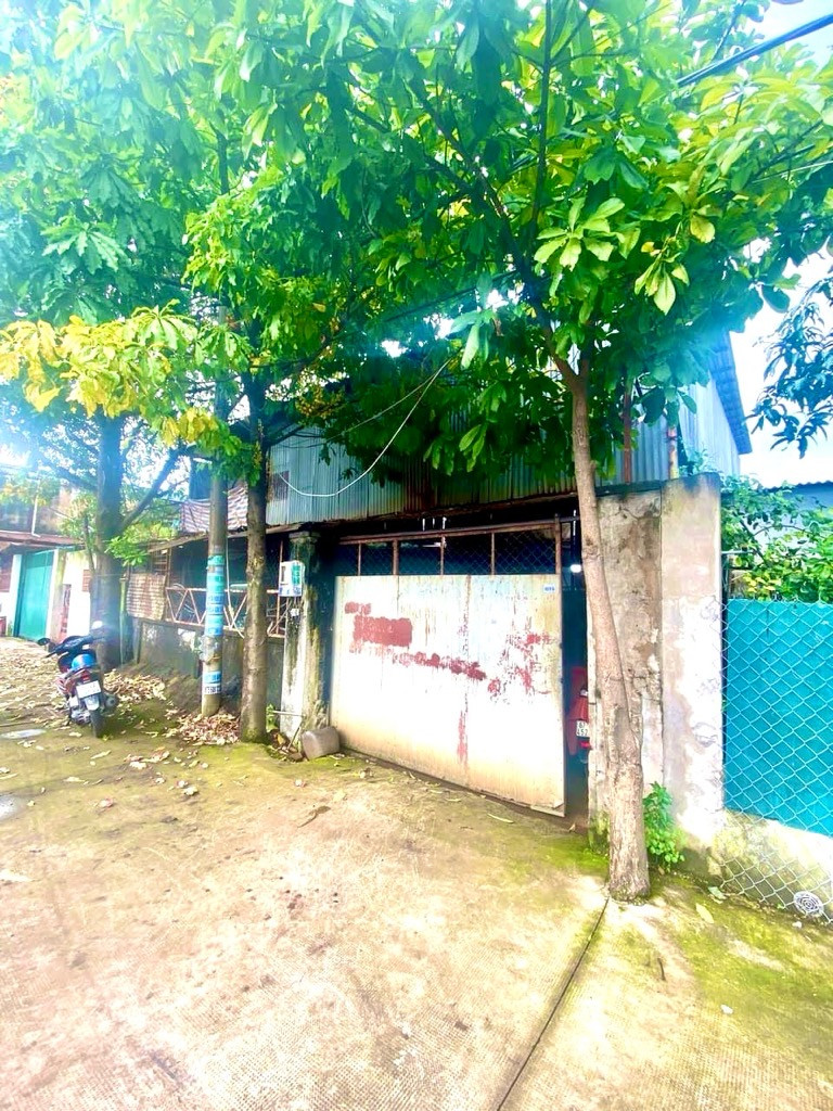 Gấp Bán Đất Tặng Xưởng 150m2 gần Ngã 3 Bùi Môn chỉ 3,85tỷ