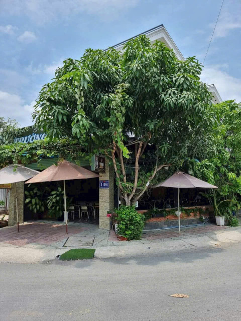 Lô Đất Đẹp (8x22) Mặt Tiền Đường 12m Ấp Đông 3, X.Thới Tam Thôn, Hóc Môn