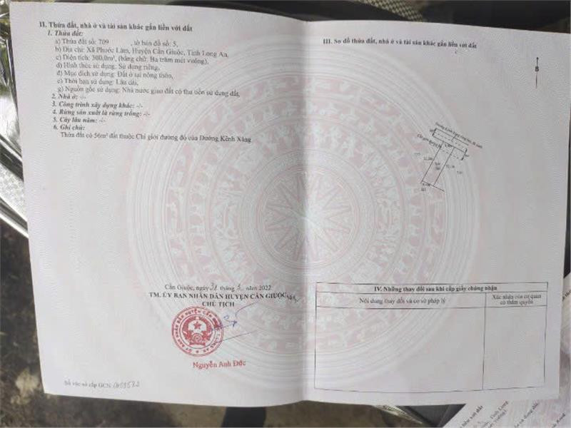 SỞ HỮU NGAY LÔ ĐẤT tại xã Phước Lâm, huyện Cần Giuộc, tỉnh Long An
