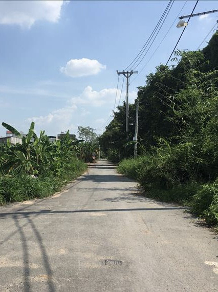 Đất đã có sổ