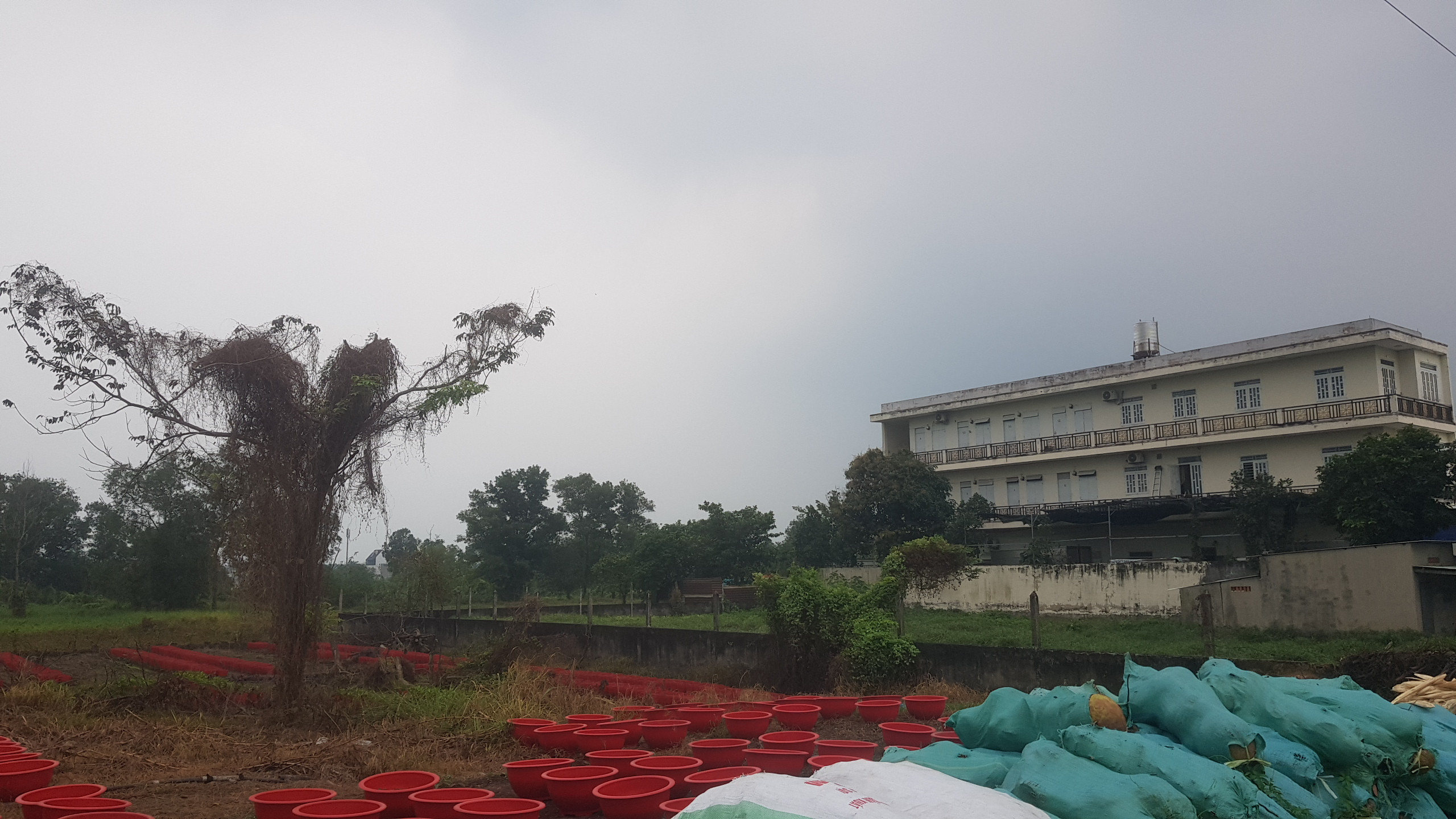 Bán đất vườn 1000m² ngang 2x500m Xã Bà Điểm gọi 0994 123 567 Đất Ngọc Hóc Môn