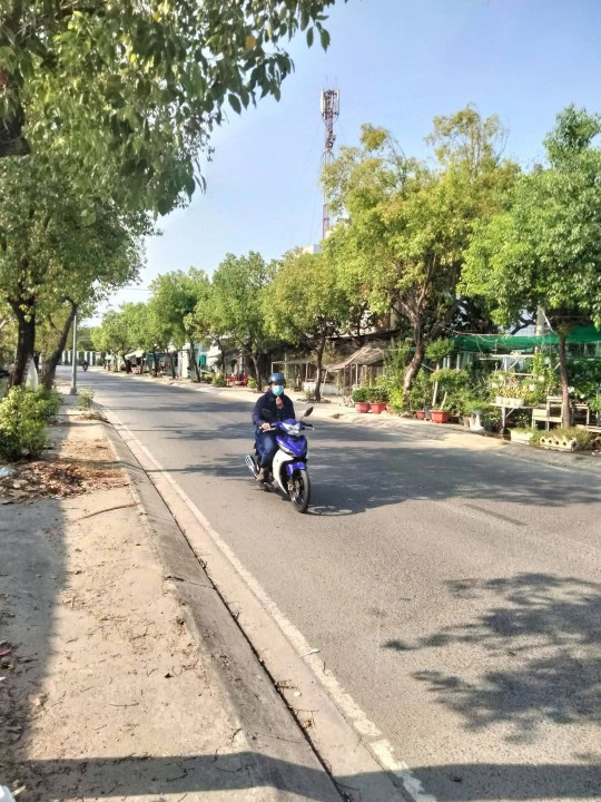 BÁN ĐẤT NÔNG NGHIỆP 16.000m² – MẶT TIỀN ĐƯỜNG BÀ ĐIỂM 4, HÓC MÔN
