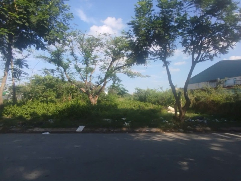 BÁN GẤP LÔ ĐẤT- LÀM KHO XƯỞNG 856M2- MẶT TIỀN ĐƯỜNG BÀ ĐIỂM-HÓC MÔN