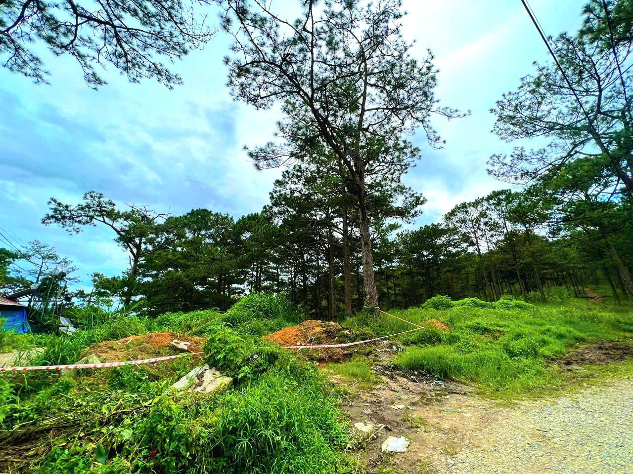 Bán đất view đẹp và sát rừng thông gần cáp treo Đà Lạt, cách bến xe Đà Lạt chỉ 700m