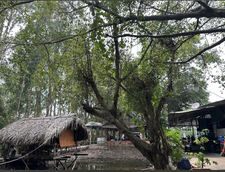 Bán đất 2961.5m² ngang 30m giá 10tr/m2 Xã Tân Nhựt