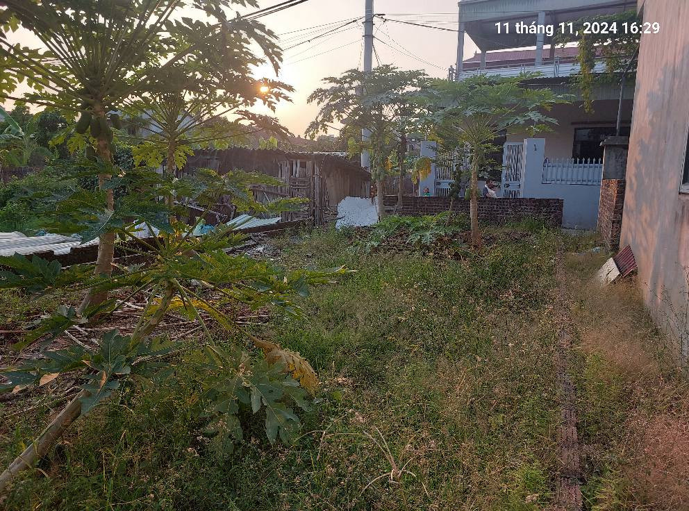 Bán đất Bắc Hồng, Đông Anh (Phúc Thịnh) 100m2, mt6m. 5.85 tỷ. Ô tô nhỏ.