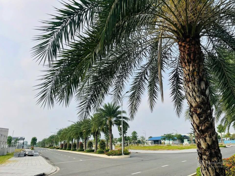 Giảm ngay 300 triệu! Khu đô thị nằm ngay SB Long Thành-Giá chỉ 900 triệu-Có sổ hồng sẵn