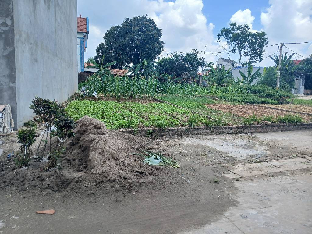 Bán đất 69m² ngang 5,5m giá 1.2 tỷ Xã Trung Giã