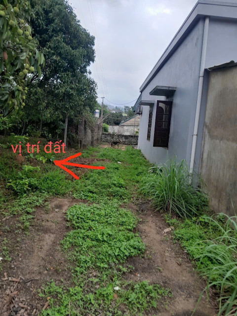 CHÍNH CHỦ CẦN BÁN ĐẤT TẠI THANH SƠN -UÔNG BÍ