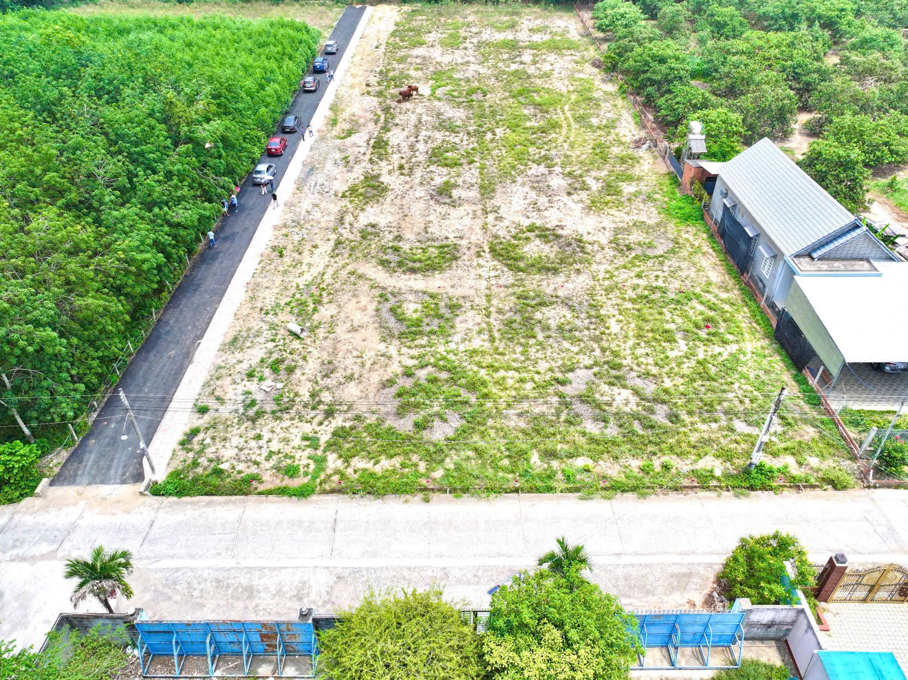Đừng bỏ lỡ! Đất gần sân bay Long Thành – Sổ hồng sẵn, giá đầu tư cực sốc!