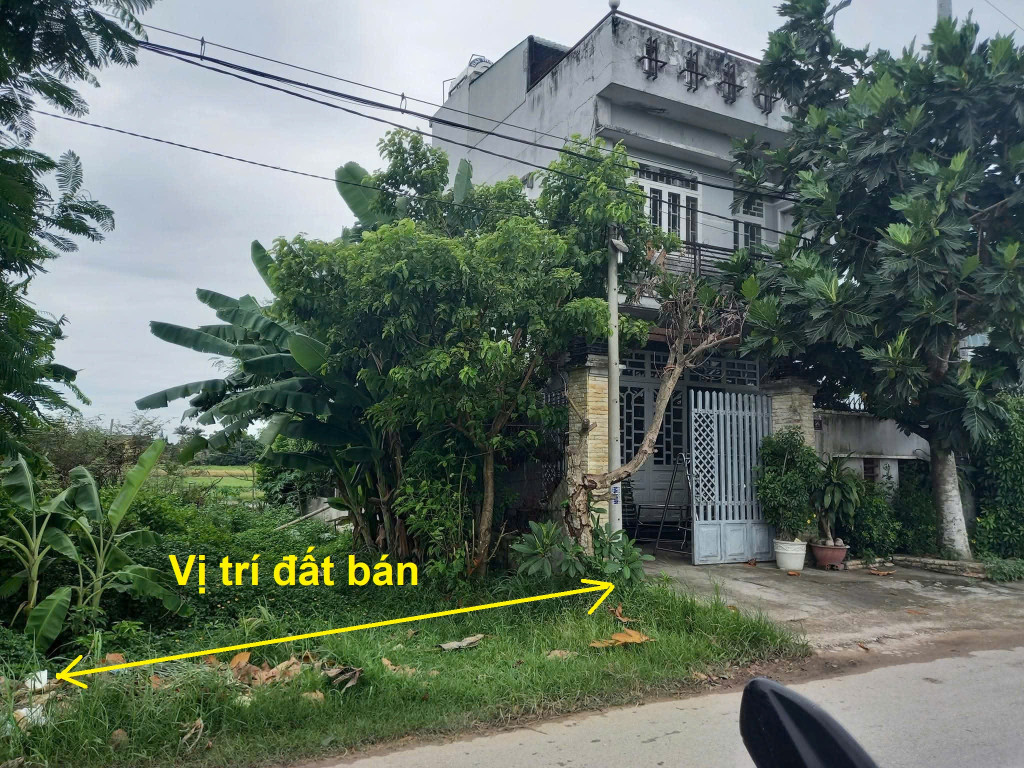 Bán Đất Mặt Tiền Đường Bàu Giã, Xã Tân Phú Trung, Củ Chi, 183m² Full Thổ Cư, Vị Trí Vàng Kinh Doanh
